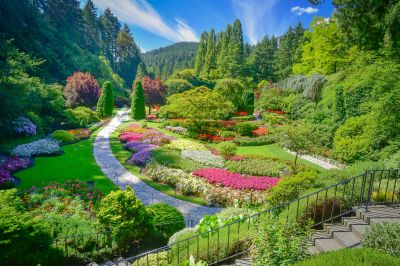 Beautiful Garden Landscape