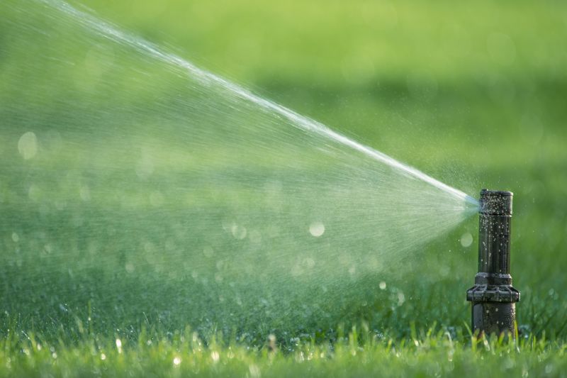 Sprinkler Drain Valve