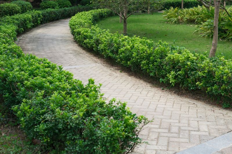 Pathway Landscaping