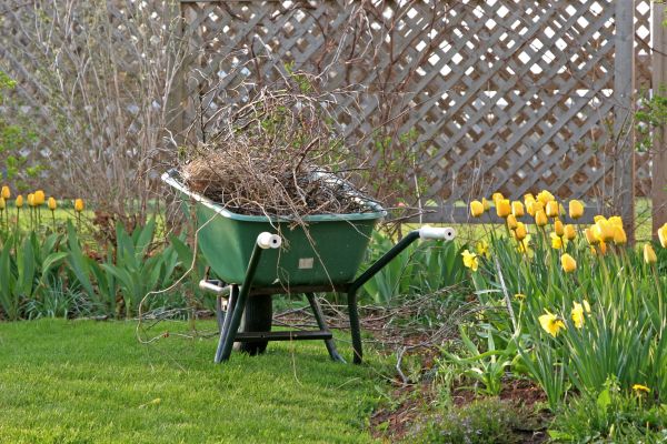 Flower Bed Cleanup Service in Jacksonville