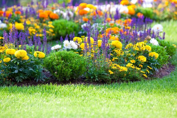 Flower Bed Maintenance in Jacksonville