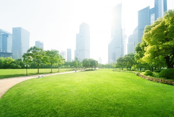 Commercial Landscape Maintenance in Jacksonville