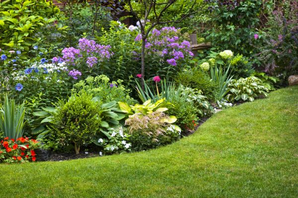 Flower Bed Service in Jacksonville