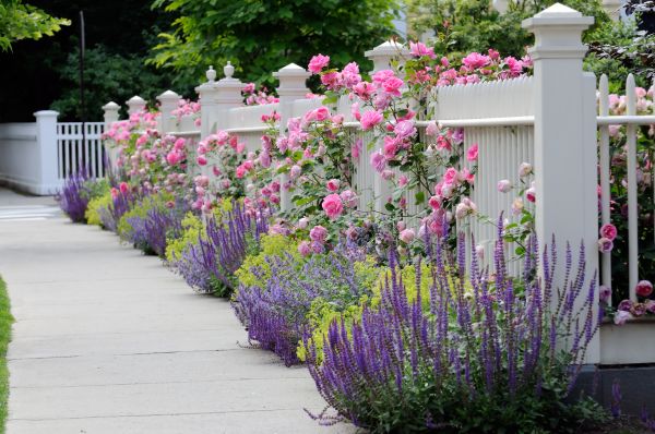 Garden Handyman Service in Jacksonville