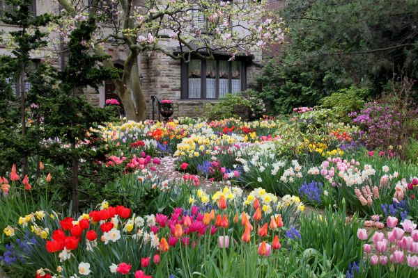 Garden Maintenance Service in Jacksonville
