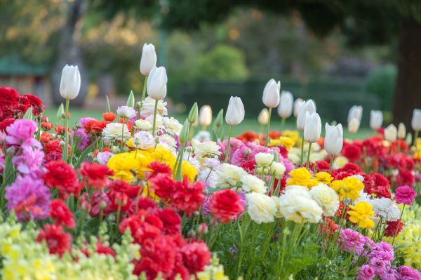 Gardening Service in Jacksonville