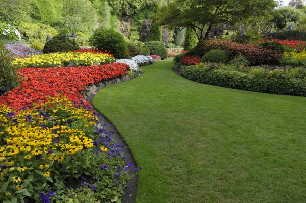 Landscaping Maintenance in Jacksonville