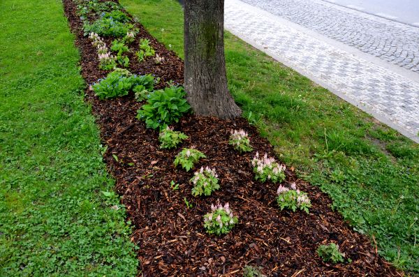 Mulch Replacement Service in Jacksonville