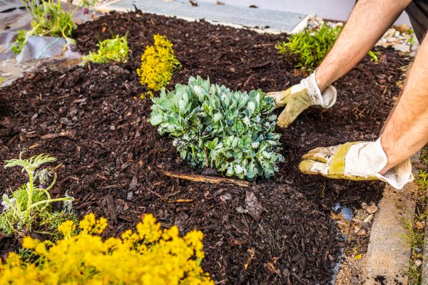 Weeding And Mulching in Jacksonville