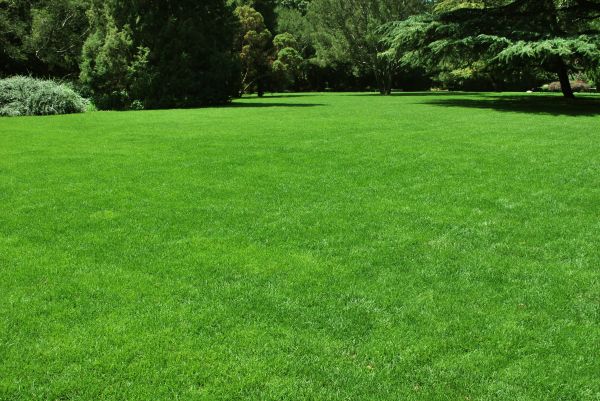 Lawn Landscaping in Jacksonville