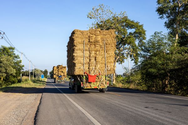 Pine Straw Delivery in Jacksonville