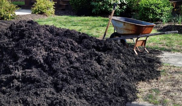 Black Mulch Delivery in Jacksonville