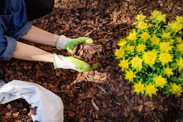 Garden Mulching in Jacksonville
