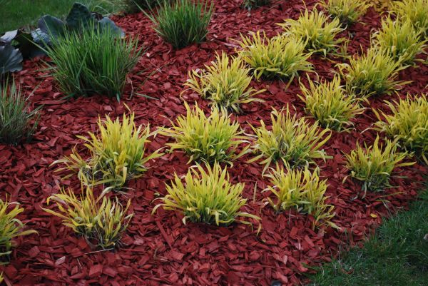 Mulch Landscaping in Jacksonville