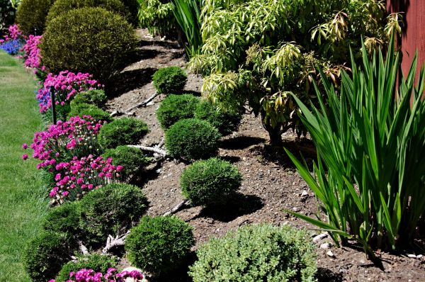 Residential Gardening in Jacksonville