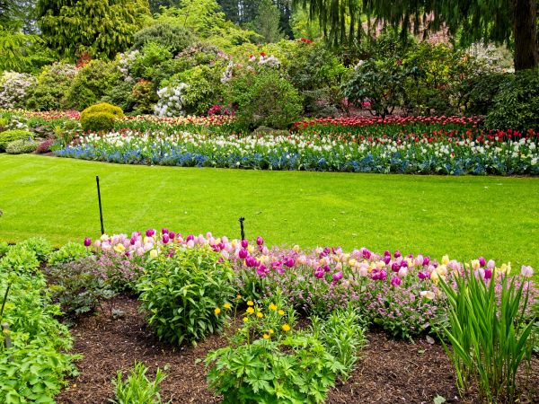 Residential Landscape Design in Jacksonville