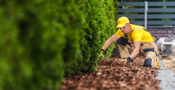 Cypress Mulch Installation in Jacksonville