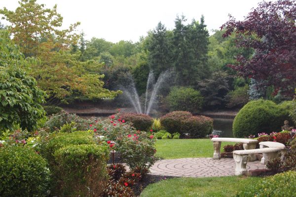 Courtyard Design Service in Jacksonville