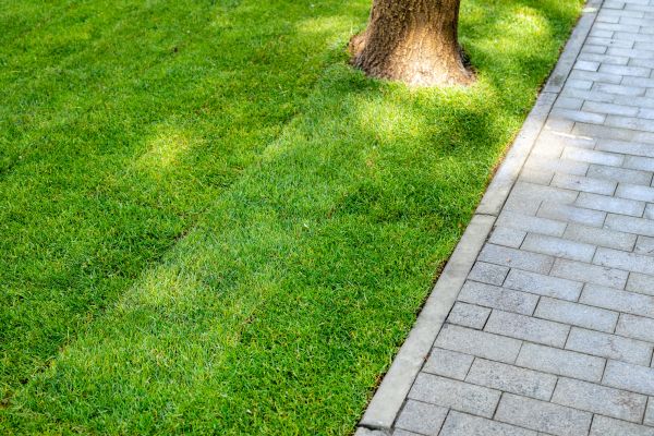 Border Stone Installation in Jacksonville