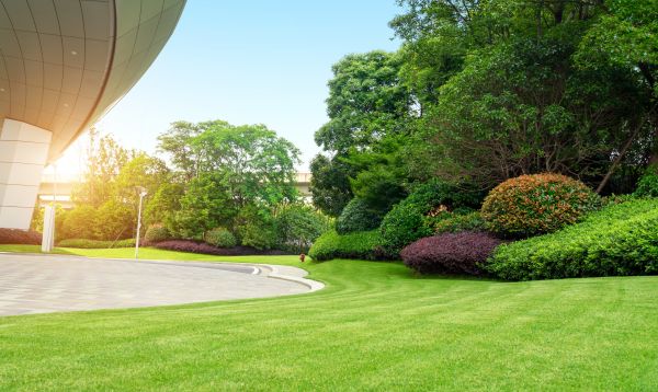 Business Landscape Design in Jacksonville