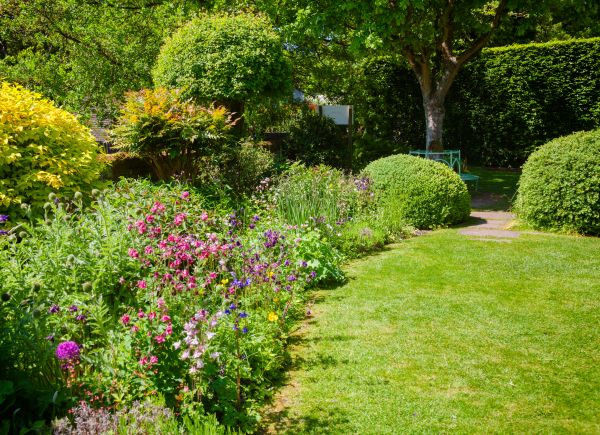 Yard Landscaping Service in Jacksonville