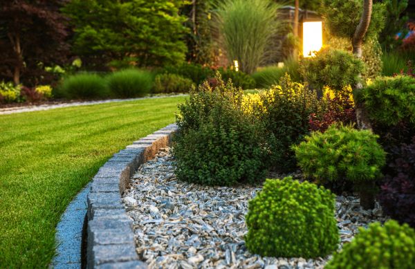 Landscaping Service in Jacksonville