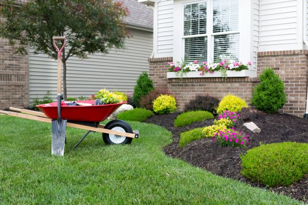 Tree And Shrub Planting in Jacksonville