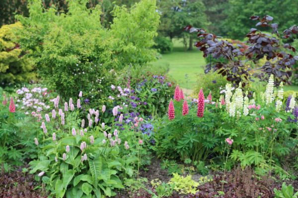 Flower Bed Planting in Jacksonville