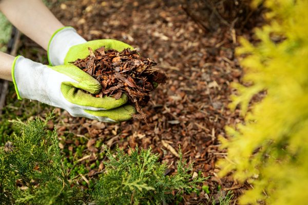 Garden Mulch Delivery in Jacksonville