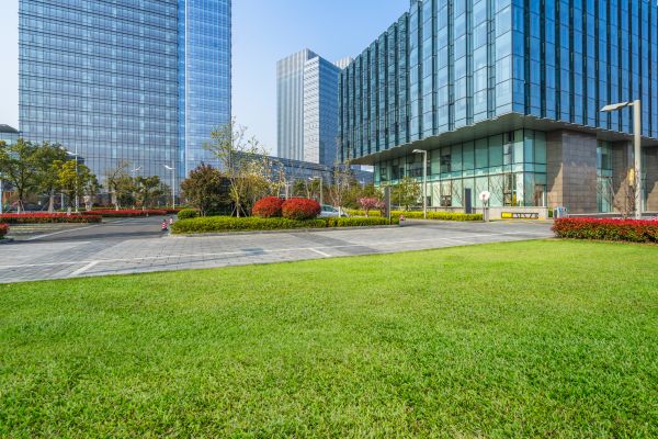 Industrial Landscaping Service in Jacksonville
