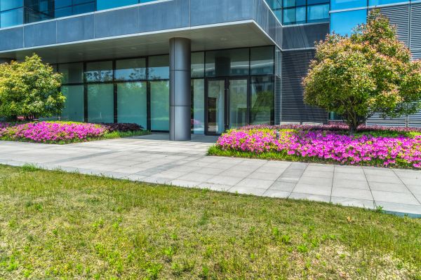 Commercial Gardening in Jacksonville