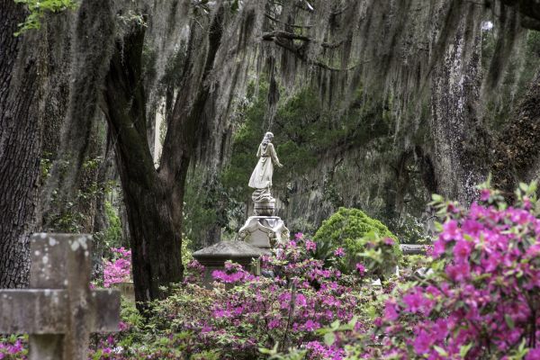 Cemetery Landscaping in Jacksonville