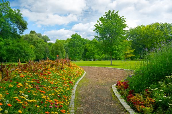 Park Landscaping in Jacksonville