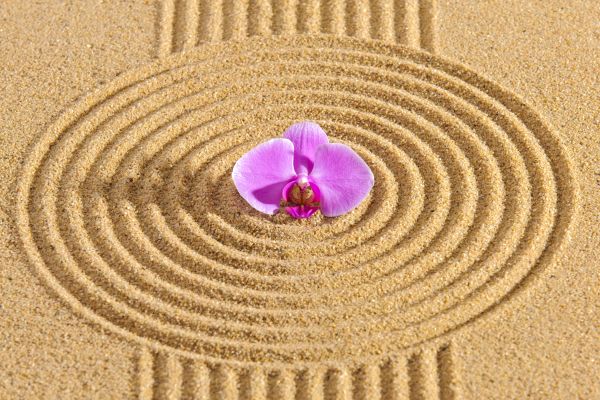Sand Garden Landscaping in Jacksonville