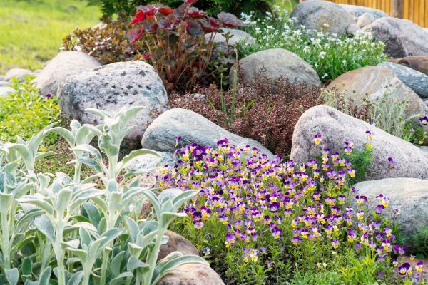 Rock Garden Installation in Jacksonville