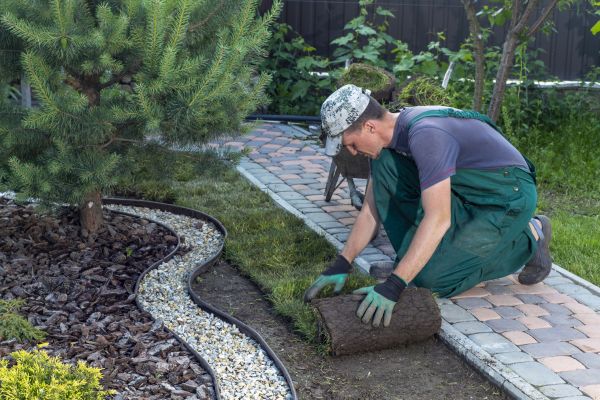 Landscaping Modification in Jacksonville
