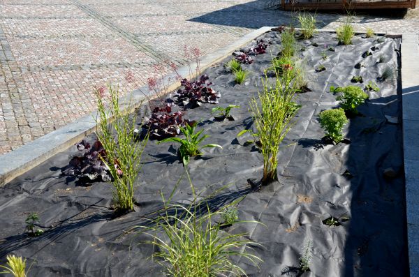 Landscape Fabric Installation in Jacksonville