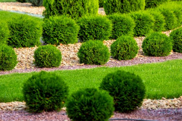 Bush Installation in Jacksonville