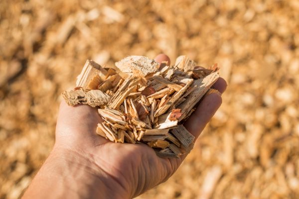 Wood Chips Spreading in Jacksonville