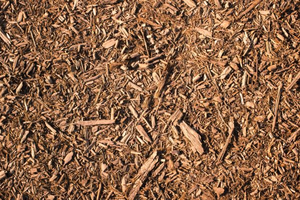 Wood Chips Removal in Jacksonville