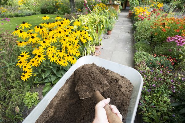 Topsoil Replacement in Jacksonville