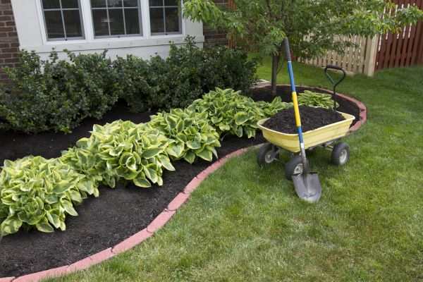 Landscape Mulching in Jacksonville