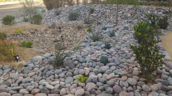 Yard Xeriscaping in Jacksonville