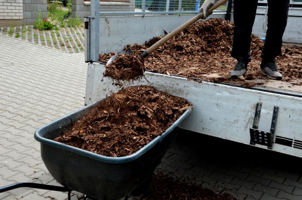 Playground Mulch Delivery in Jacksonville