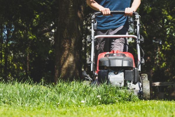 Garden Trimming Service in Jacksonville