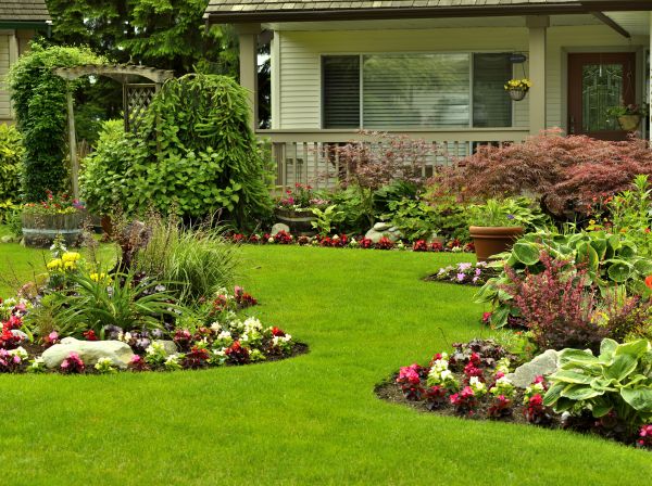 Flower Garden Planting in Jacksonville