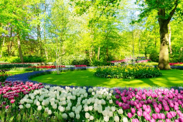 Flower Landscaping in Jacksonville