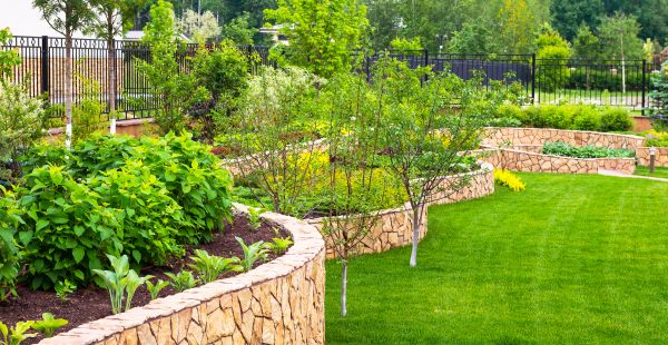 Yard Makeover Service in Jacksonville
