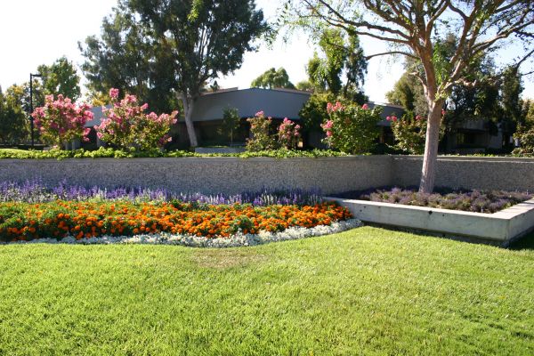 Commercial Landscape Service in Jacksonville