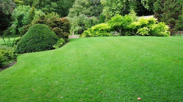 Commercial Landscape Design in Jacksonville